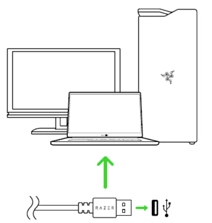 Setting Up Your Razer Deathadder V2 Mini