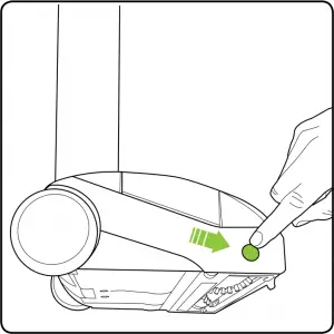 Brush Roll Inductions