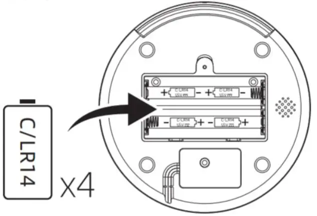 PETONEER PF005 Nutri Mini Feeder 11