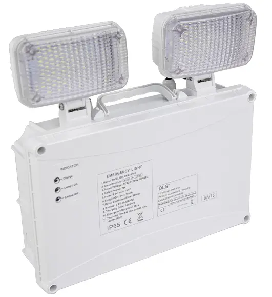 Dextra Group-TWS-IP65-L7-Wireless