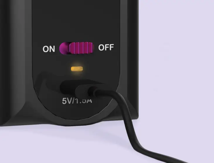 DPS-BP-W-801 -Battery and Charging 1