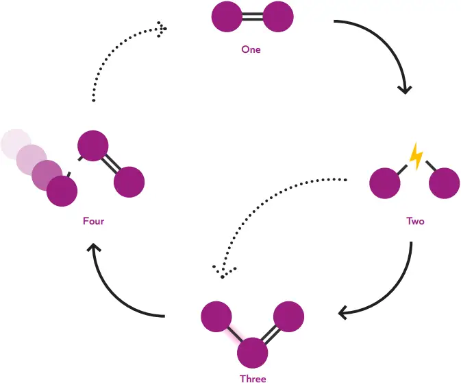 DPS-BP-W-801 -Sustainability 3