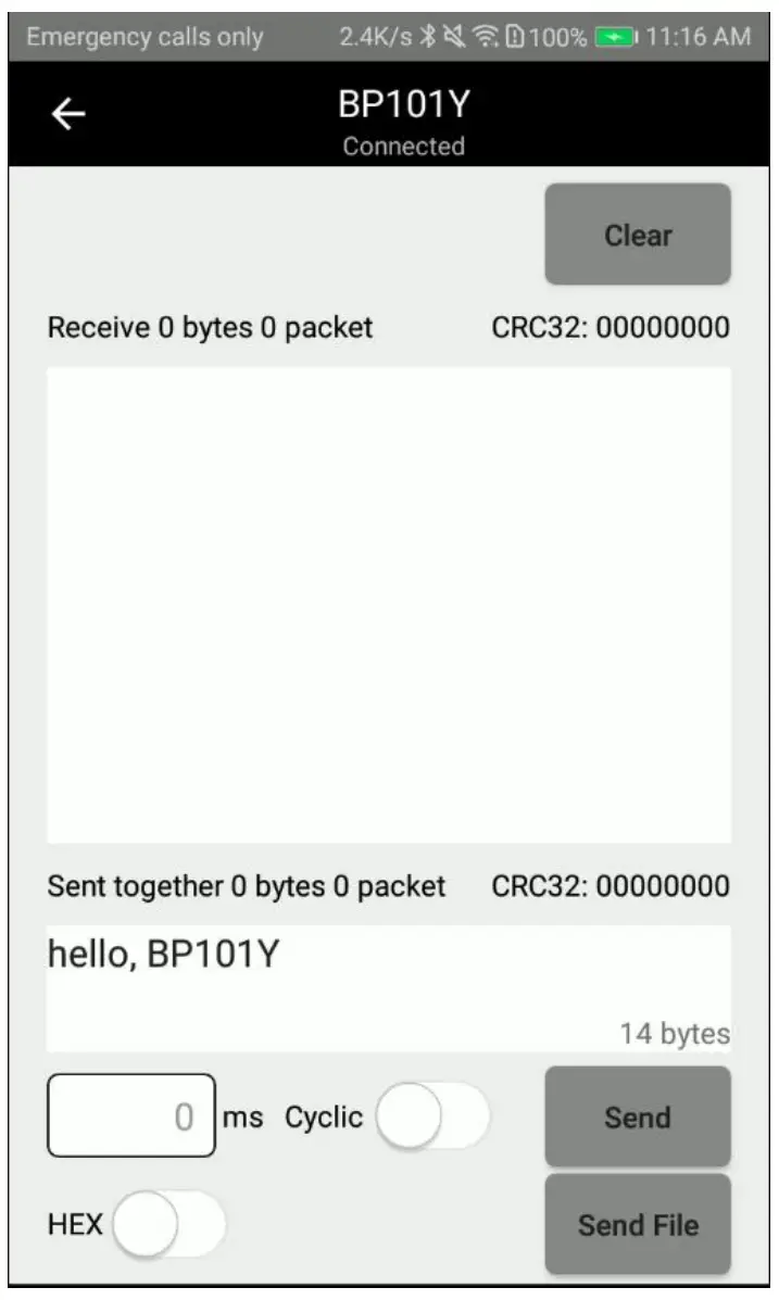 Establish connection with BP101Y