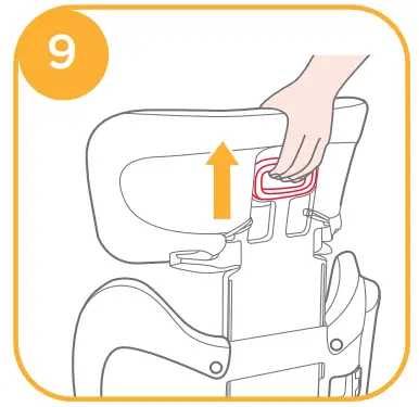 Height Adjustment for Head Support