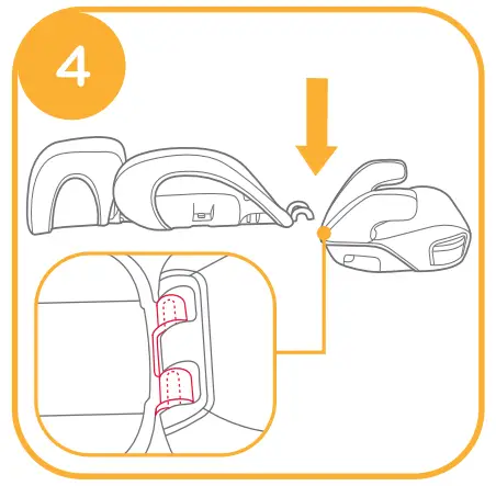 Assemble Lower Back Support