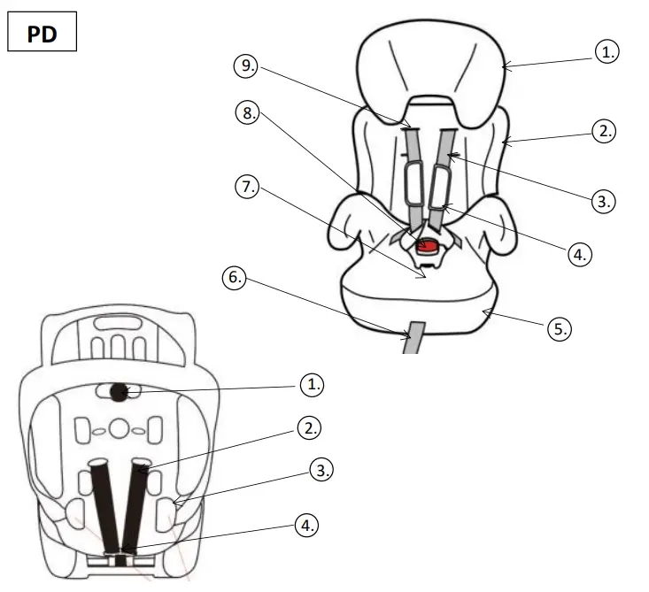 MAIN PARTS OF THE CAR SEAT - PD