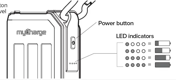 LED INDICATORS