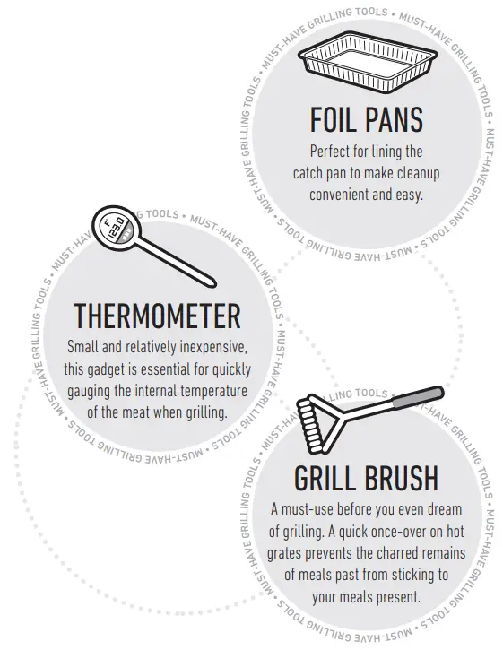 SPIRIT EX-325S Smart Propane Gas Grill - Grills that are in