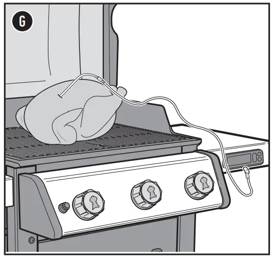 SPIRIT EX-325S Smart Propane Gas Grill - Temperature Probes