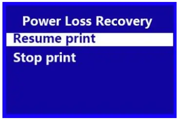 WEEDO TINA2 3D Printer - Resume Print