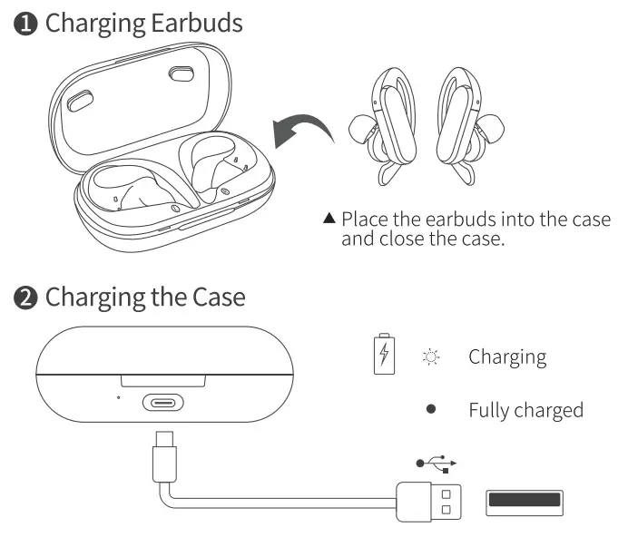 Audiovance SP301 Wireless Earbuds - Charging