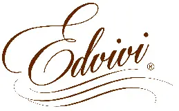 edvivi-logo
