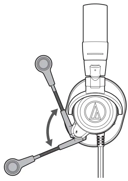Muting the microphone