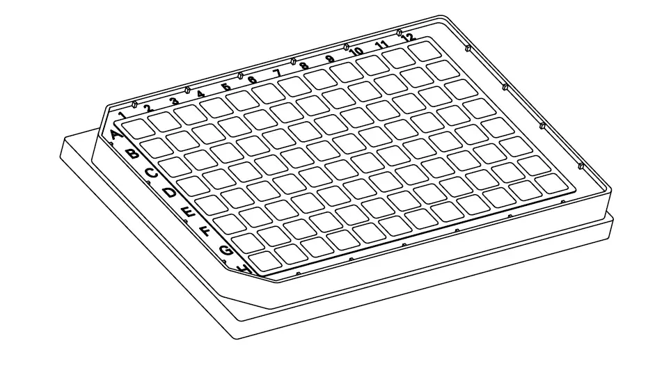 ibidi-88407-Well-Black-Glass-Bottom-04