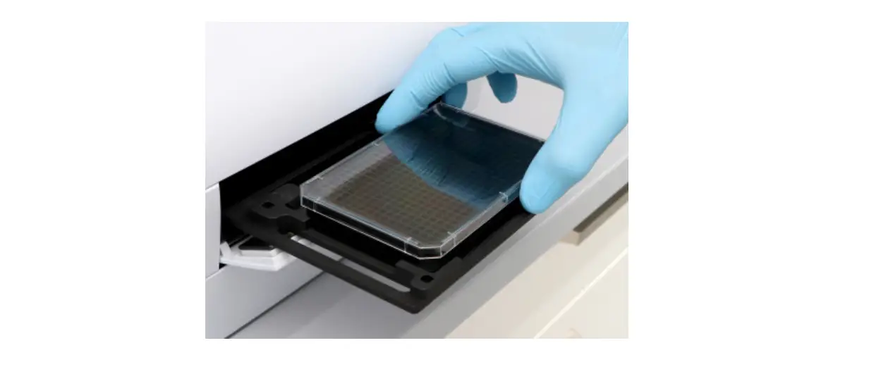 Ibidi 88407 Well Black Glass Bottom Instructions