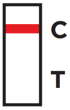 Read and Interpret the Results