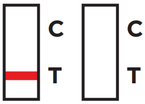 Read and Interpret the Results