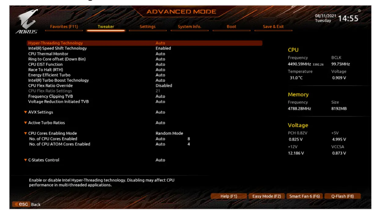 Advanced CPU Settings