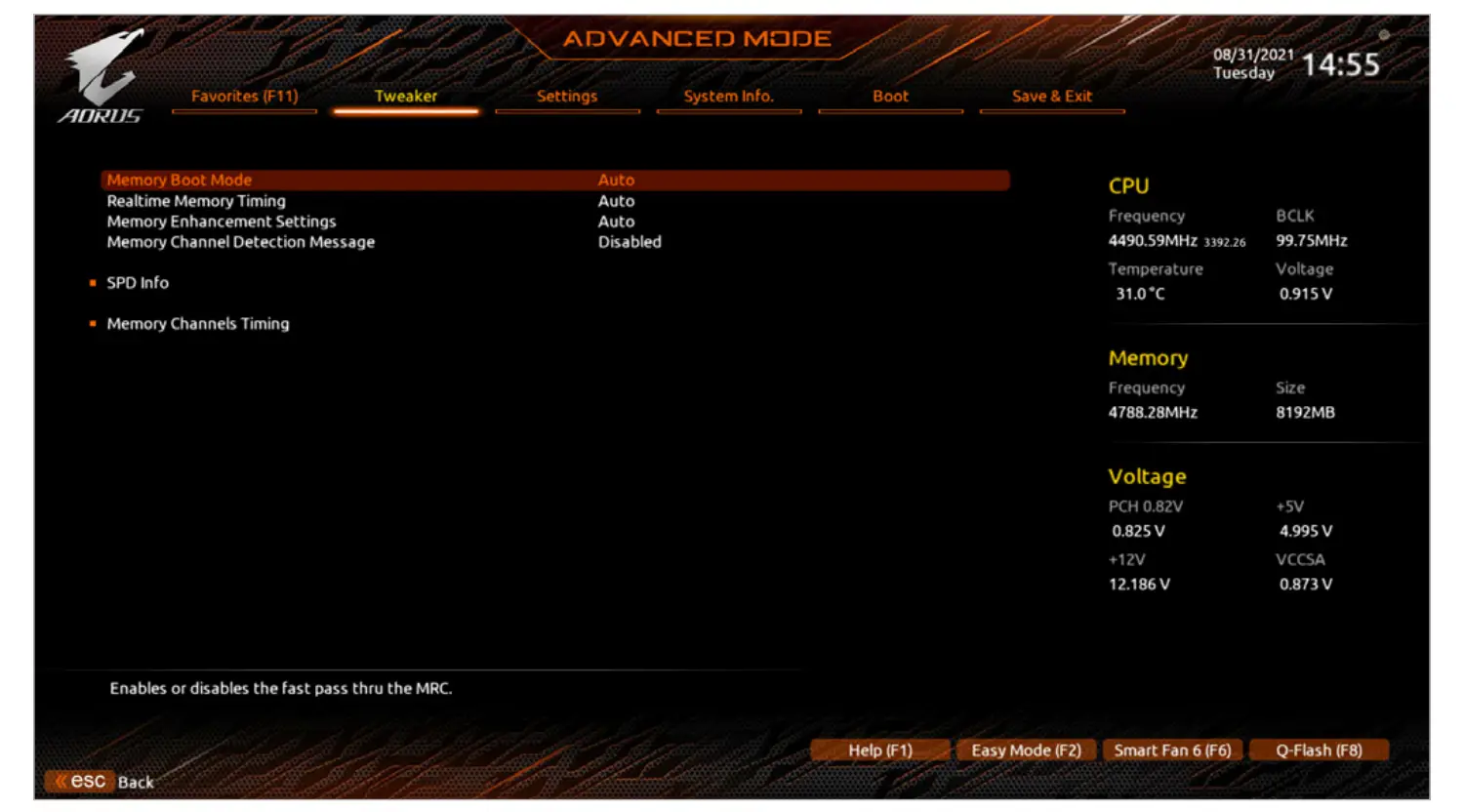 Advanced Memory Settings