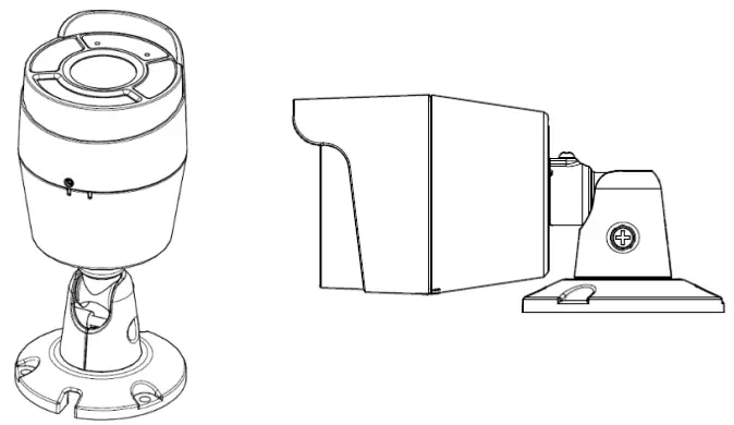 Appearance Description