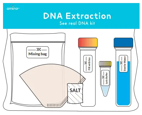 amino DNA Extraction Kit Extract DNA from Strawberry Fruit - Kit Contents