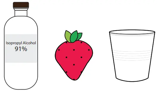 amino DNA Extraction Kit Extract DNA from Strawberry Fruit - You Provide