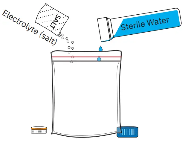 amino DNA Extraction Kit Extract DNA from Strawberry Fruit - distilled water