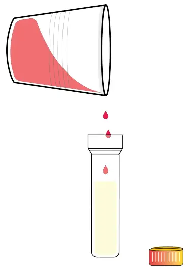 amino DNA Extraction Kit Extract DNA from Strawberry Fruit - isopropyl alcohol