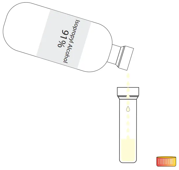 amino DNA Extraction Kit Extract DNA from Strawberry Fruit - isopropyl