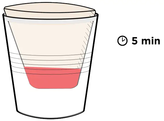 amino DNA Extraction Kit Extract DNA from Strawberry Fruit - liquid pass