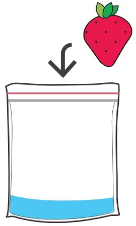 amino DNA Extraction Kit Extract DNA from Strawberry Fruit - strawberry