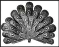 BERNINI FOUNTAINS PEACOCK Metal Garden Hose Holder A2