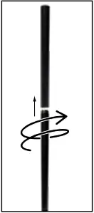 BERNINI FOUNTAINS PEACOCK Metal Garden Hose Holder B3