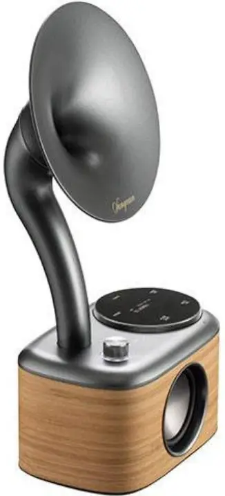 SANGEAN CP-100D DAB Plus or FM RDS Receiver with Bluetooth Speaker