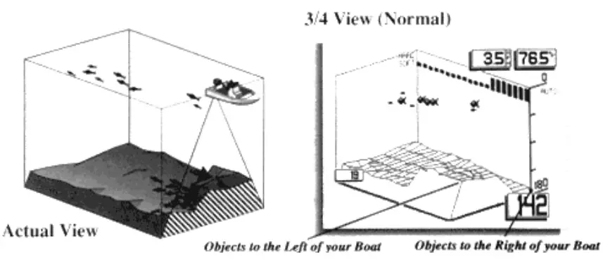 HUMMINBIRD Dimension 3 SONAR 600 - What's displayed