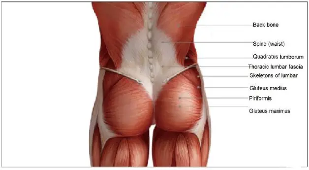 anko-ITGM-05-Massage-Gun-fig- (7)