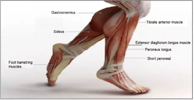 anko-ITGM-05-Massage-Gun-fig- (9)