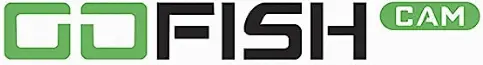 GoFish-Cam-Logo
