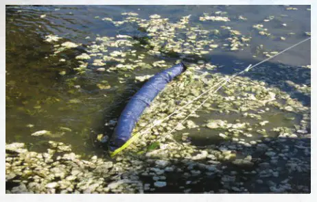 the Pond guy 580120 Duckweed Pond Skimmer Tool - weighted