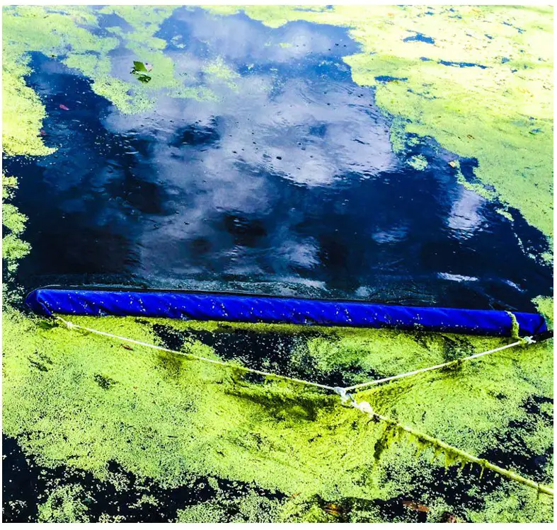 the Pond guy 580120 Duckweed Pond Skimmer Tool