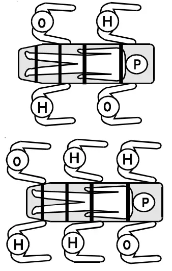 FERNO Millennia 16 Inch Wide Plastic Backboard X-Ray Translucent Board - Lifting and Carrying