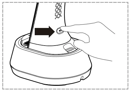 Immax 08973L Corella Table Lamp - Fig 4