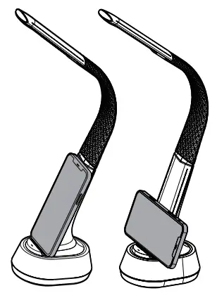 Immax 08973L Corella Table Lamp - Fig 5