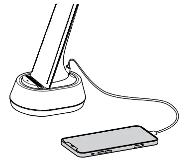 Immax 08973L Corella Table Lamp - Fig 6