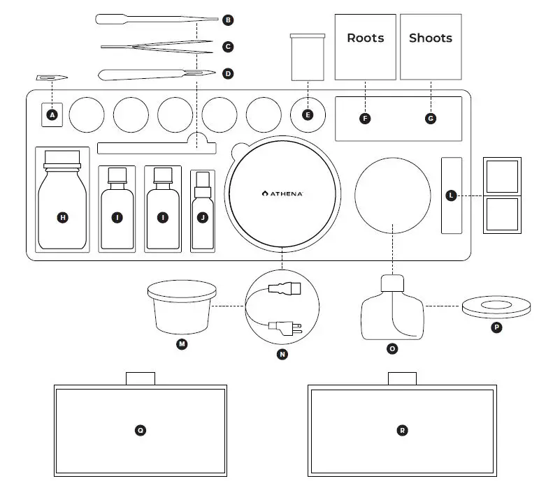 ATHENA-TC-HOOD-Tissue-Culture-Flow-Hood-with-Accessories-fig-6