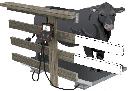 GALLAGHER TW-3 Weigh Scale and Data Collector - Position