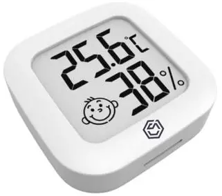 Ease Electronicz F47 Mini Hygrometer