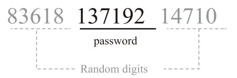 Veise RZ02A Keypad Digital Deadbolt - fig 29