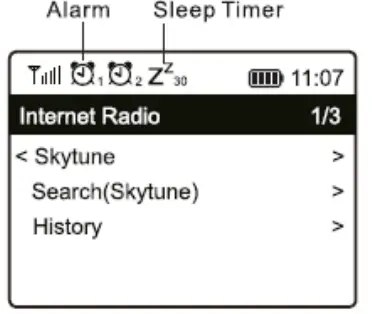 audizio-102-237-Turin-Internet-Radio-Tuner-WIFI-Adapter-FIG-17