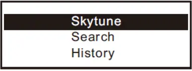 audizio-102-237-Turin-Internet-Radio-Tuner-WIFI-Adapter-FIG-6